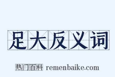 足大反义词是什么意思的图片